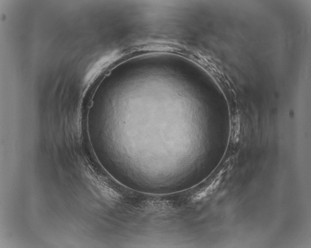 X0000090490296200707131334