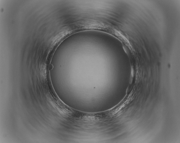 X0000090490298200707131334
