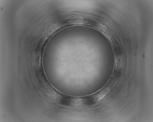 X0000090490301200707131334