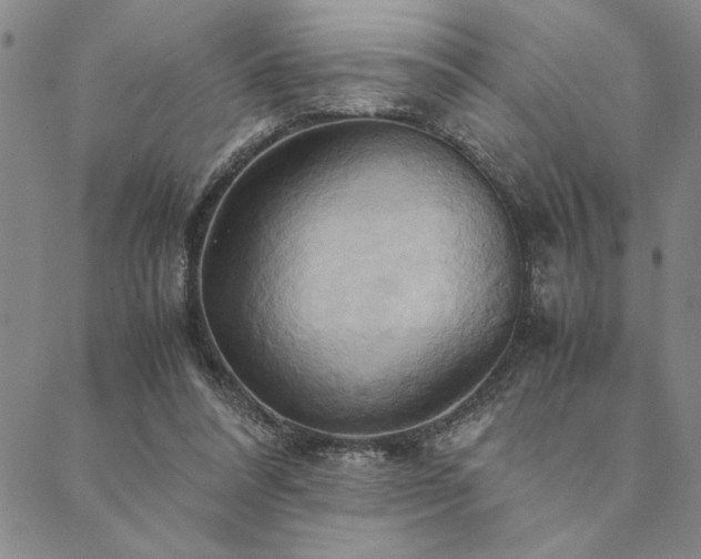 X0000090490304200707131334