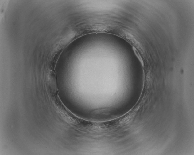 X0000090490305200707131334