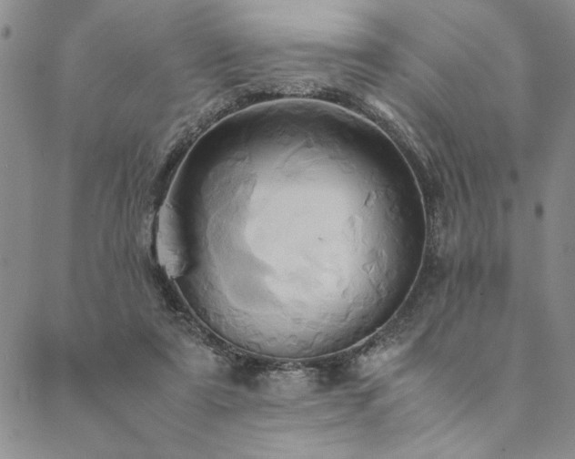 X0000090490307200707131334