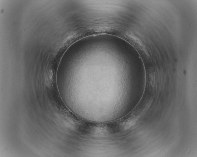 X0000090490308200707131334