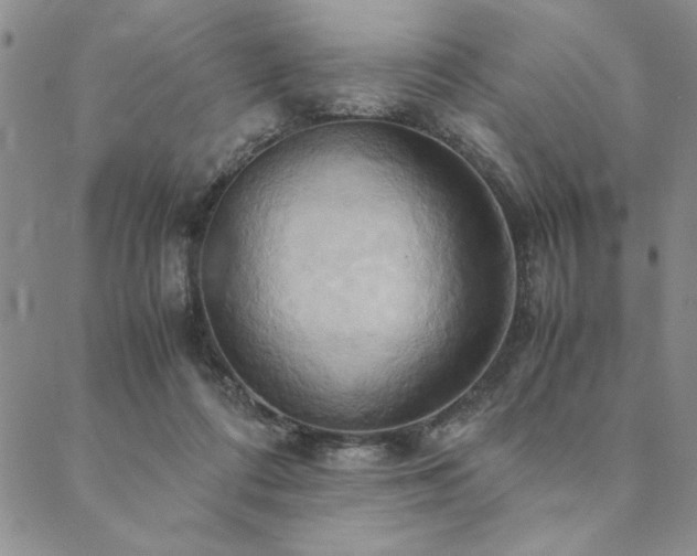 X0000090490312200707131334