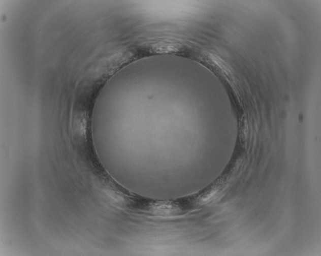 X0000090490315200707131334