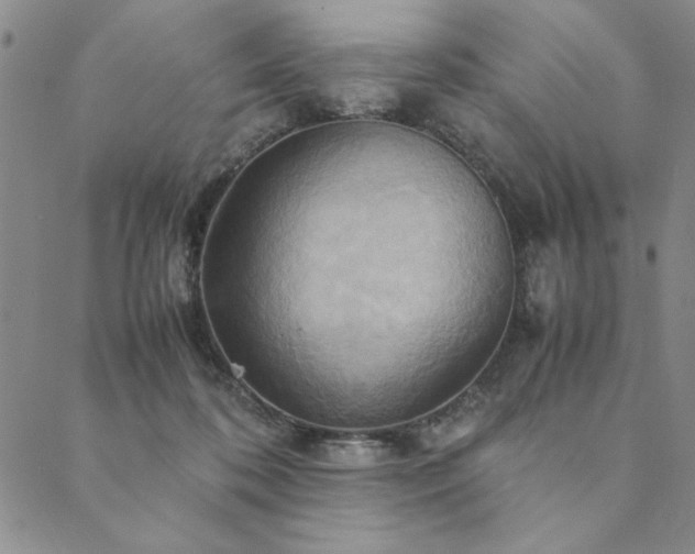 X0000090490316200707131334