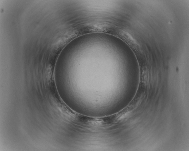 X0000090490318200707131334