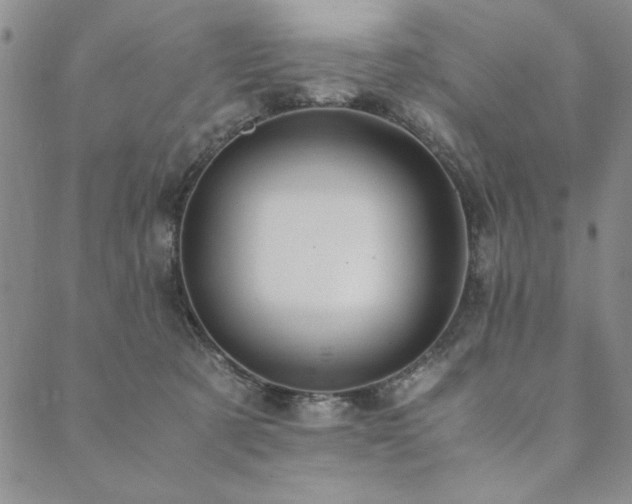 X0000090490321200707131334