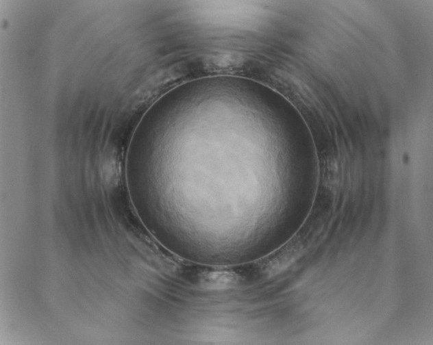 X0000090490324200707131333