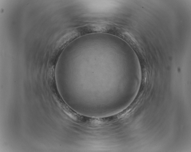 X0000090490325200707131333