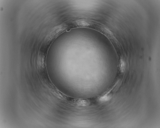 X0000090490330200707131333