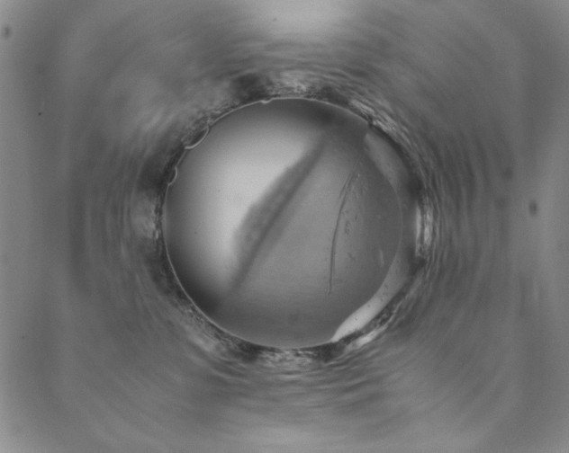 X0000090490331200707131333