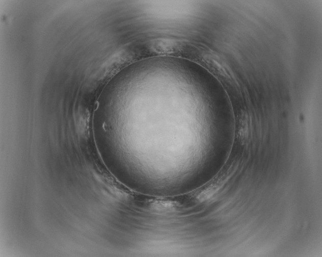 X0000090490332200707131333