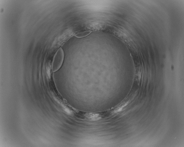 X0000090490334200707131333