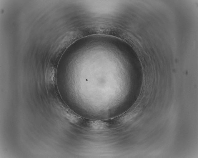 X0000090490336200707131333