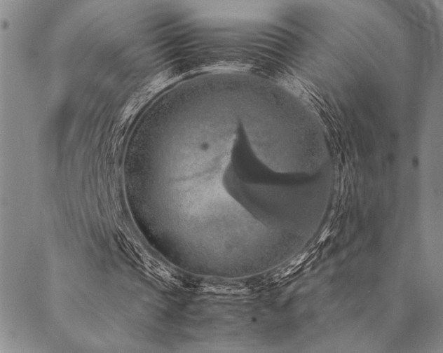 X0000090490337200707131333