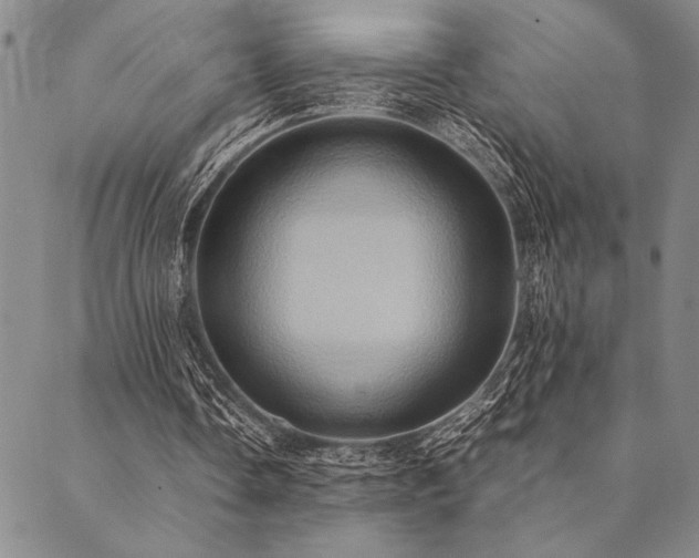 X0000090490338200707131333