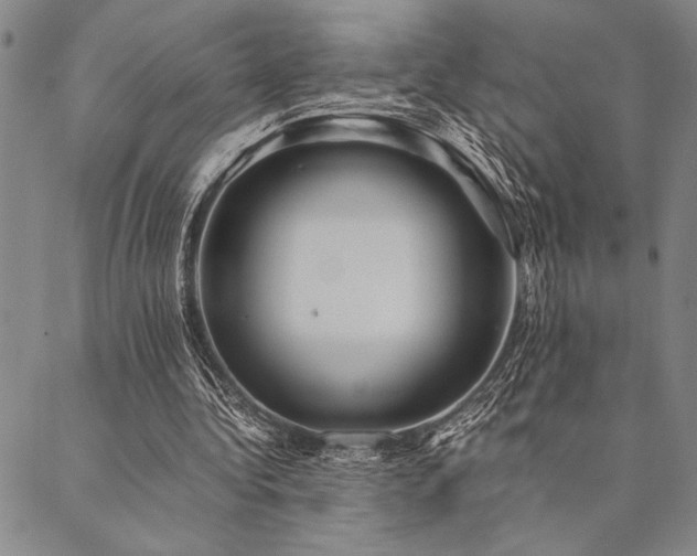 X0000090490340200707131333