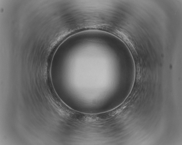 X0000090490346200707131333