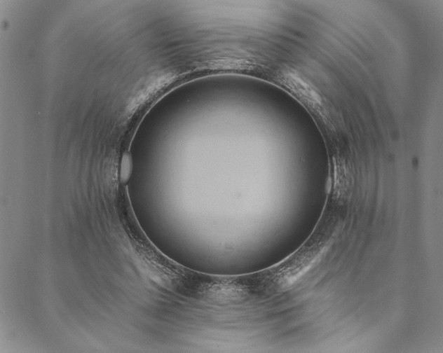 X0000090490348200707131333