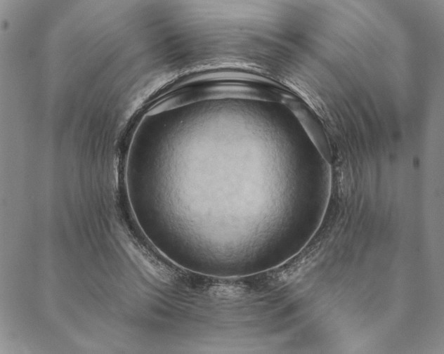 X0000090490350200707131333