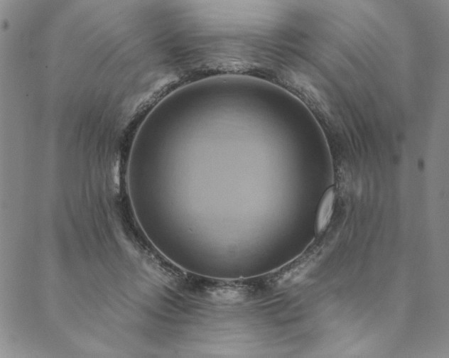 X0000090490358200707131333