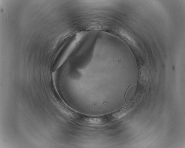 X0000090490361200707131333