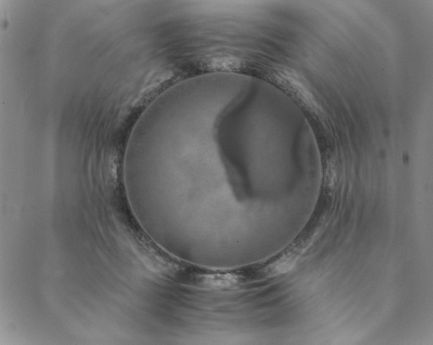X0000090490363200707131333