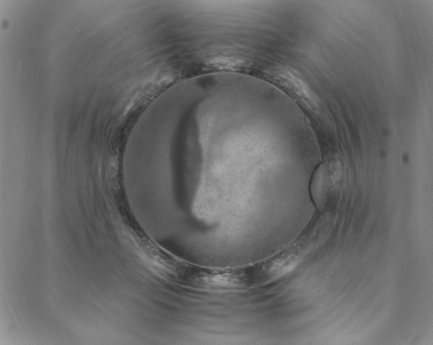 X0000090490365200707131333