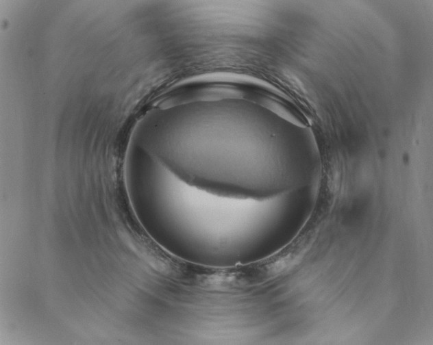X0000090490366200707131333