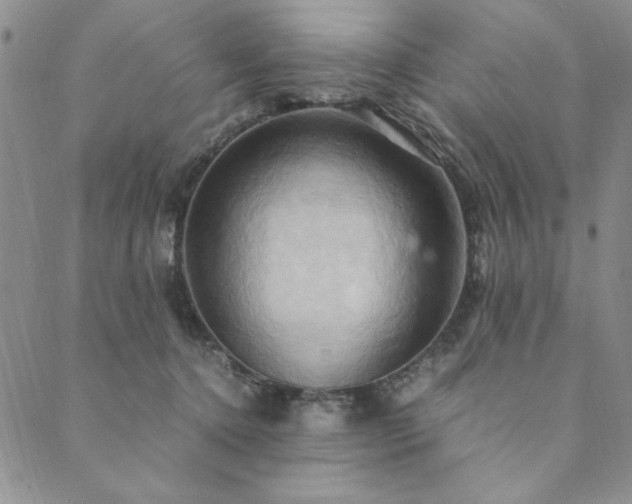X0000090490368200707131333