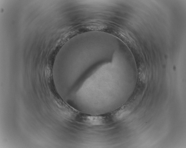 X0000090490371200707131333