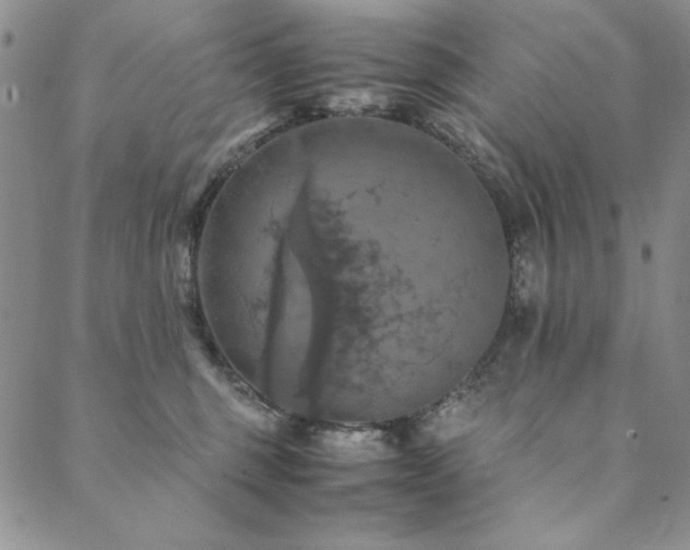 X0000090490375200707131333