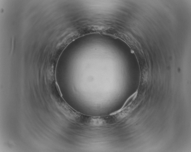 X0000090490376200707131333