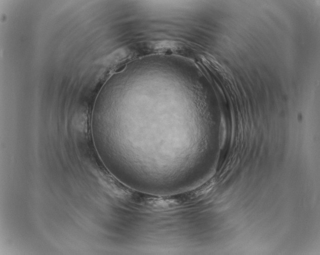 X0000090490379200707131333