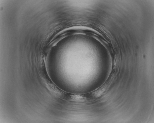 X0000090490380200707131333