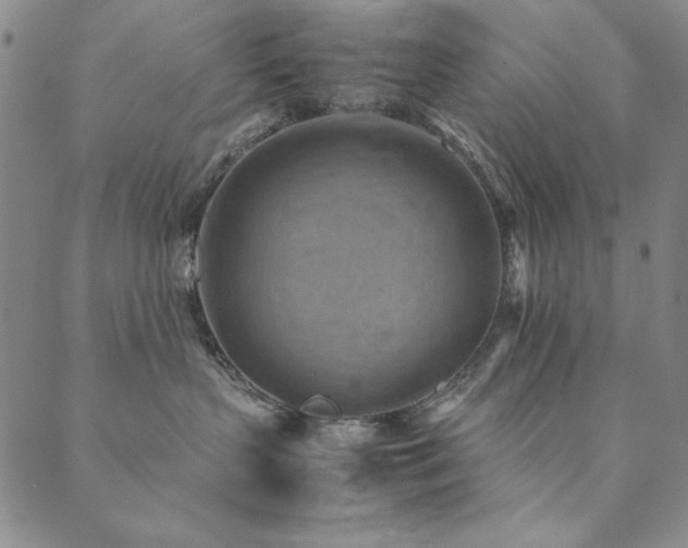 X0000090490383200707131333
