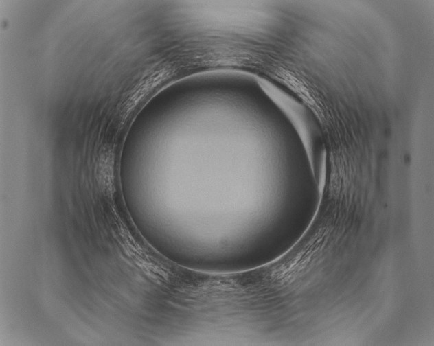 X0000090490386200707131332