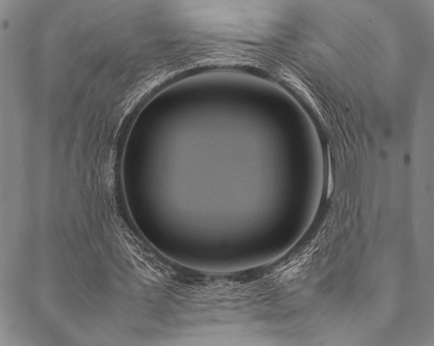 X0000090490387200707131332