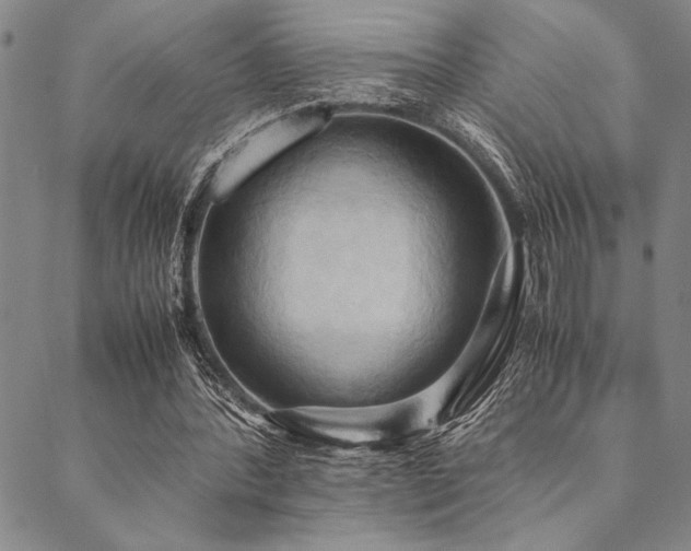 X0000090490388200707131332