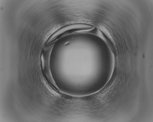 X0000090490389200707131332