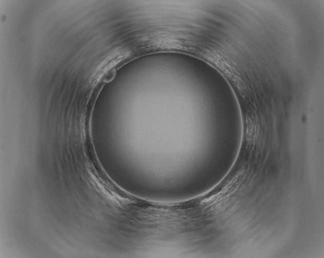 X0000090490390200707131332