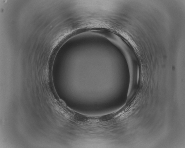 X0000090490391200707131332
