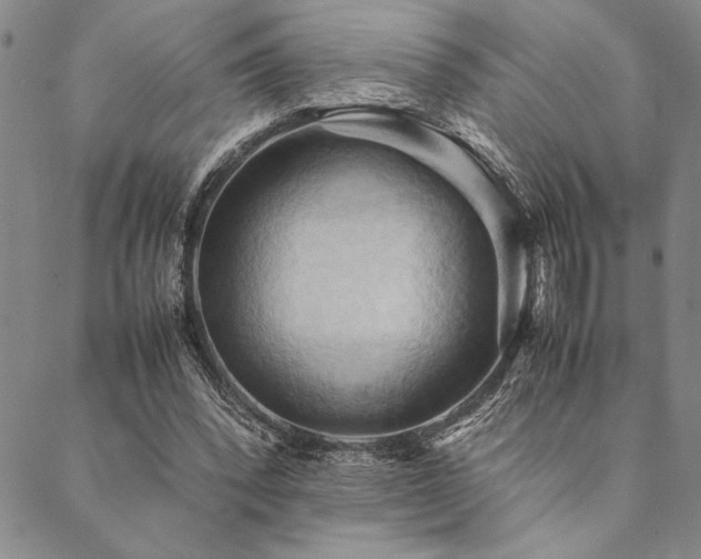 X0000090490392200707131332