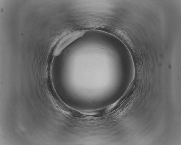 X0000090490395200707131332