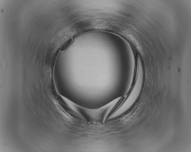X0000090490397200707131332