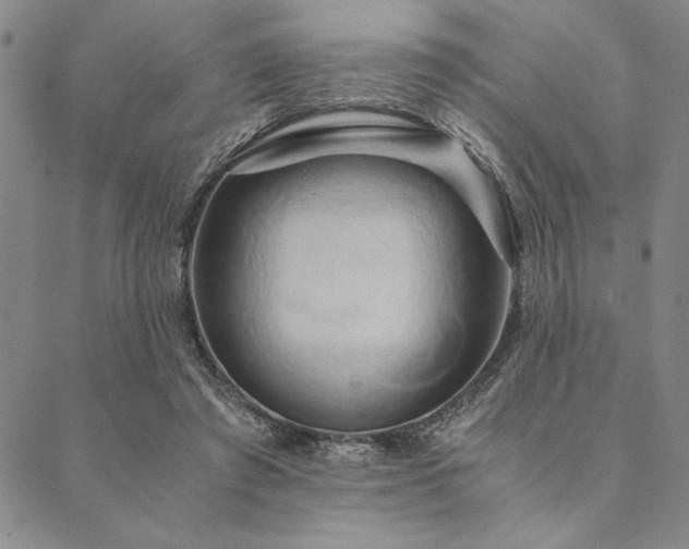 X0000090490401200707131332