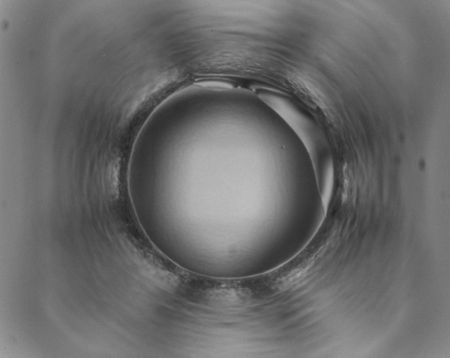 X0000090490404200707131332