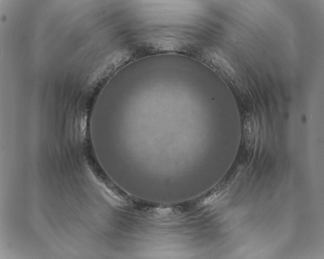 X0000090490406200707131332