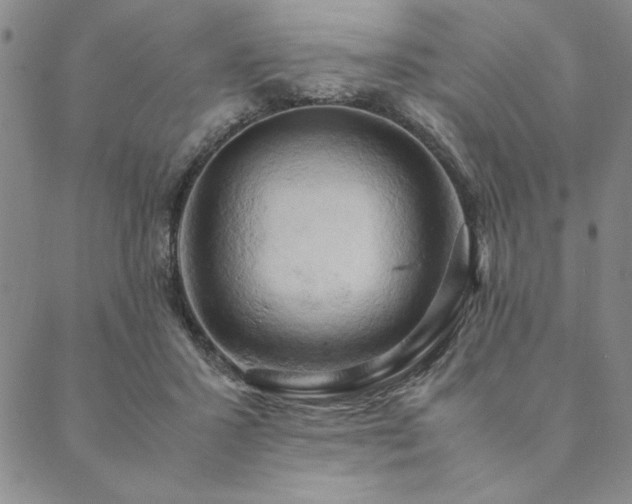 X0000090490407200707131332